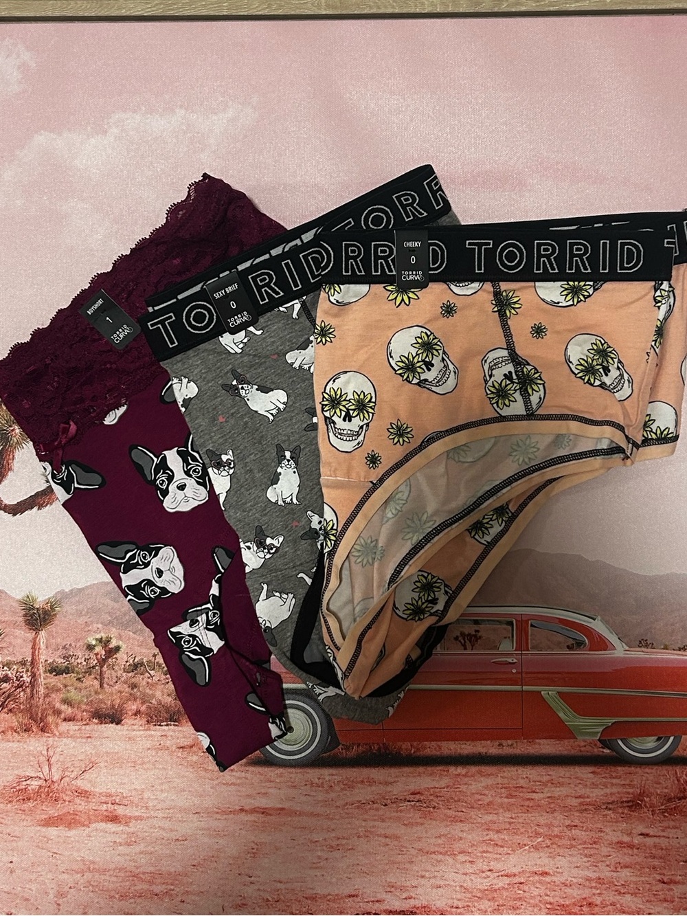 NWT BUNDLE OF 3 TORRID Leopard,skull,dog.SZ is 2 pairs sz 0 and size 1 panties
